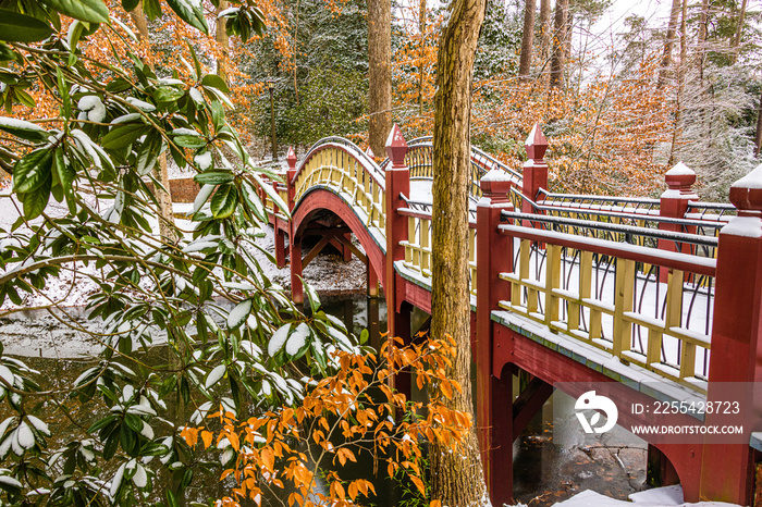 bridge in park