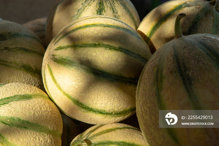 Melons from Cavaillon, ripe round charentais honey cantaloupe melons on local market in Provence, France