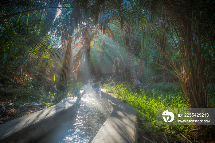 Irrigation channel  in Al Ain Oasis, United Arab Emirates