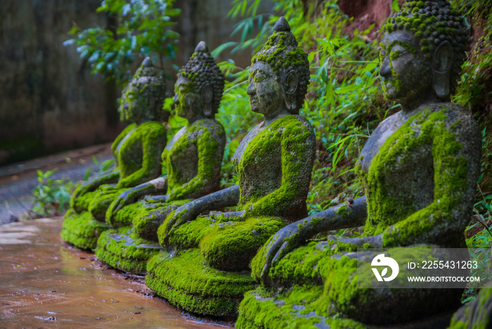 Statue of Buddha, Moss, next to the statue of Buddha