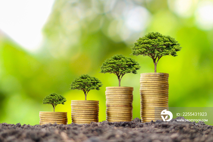 Coin pile with growing tree on top of coin, financial business success idea and money growth.