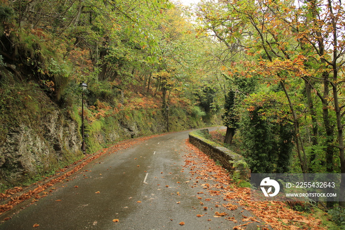 Rural road on Corsica Island, France