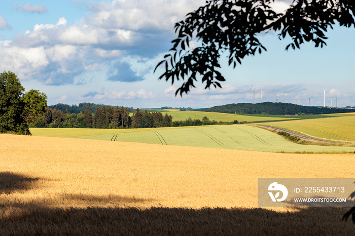 Messelberger Feldlandschaft