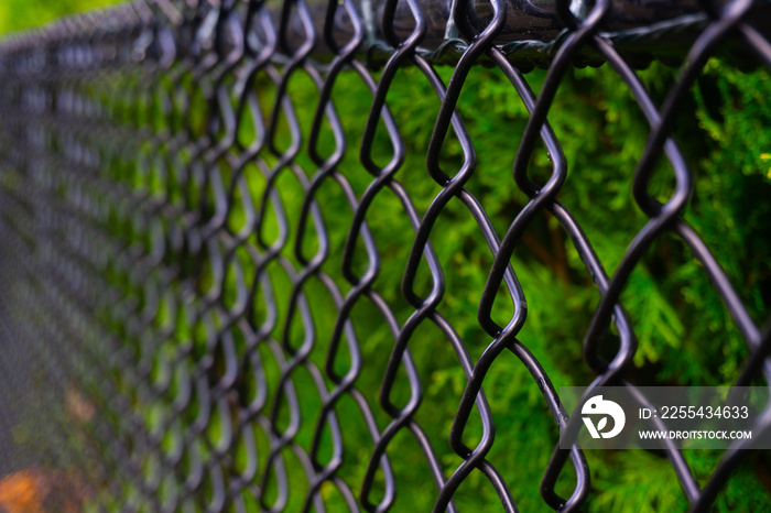 A black chain link fence photographed from a creative perspective to give the image depth.