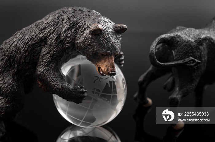 Stock market correction and the end of the bull market concept with a bear (symbol of economic contraction) taking over the globe( symbolizing the global economy) isolated on black background