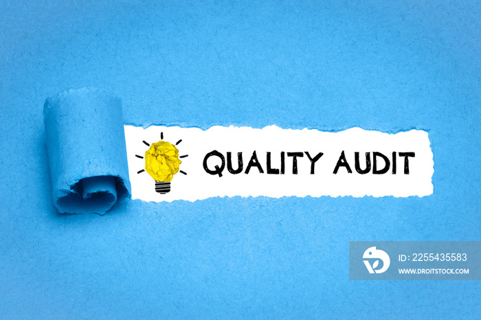 Quality Audit