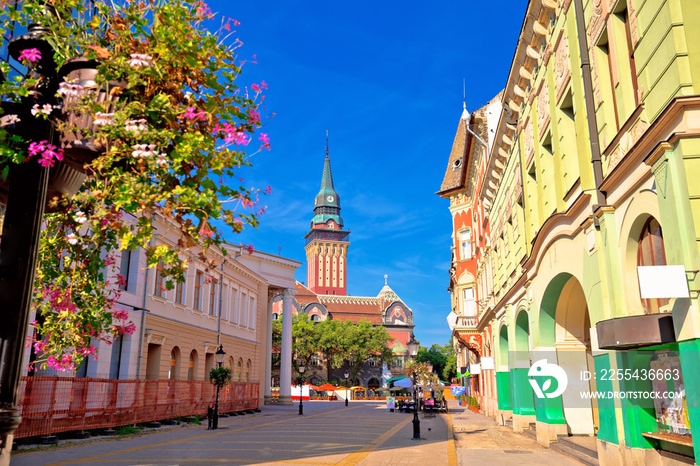 Subotica city hall and main square colorful street view