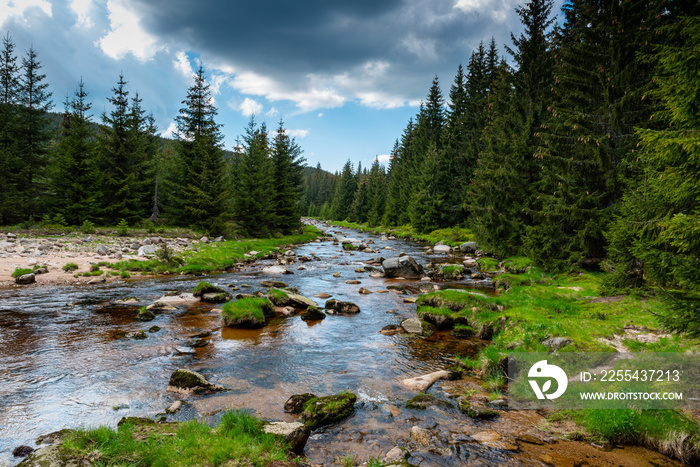 The Izera River in the Jizera Mountains, Polish-Czech border / Izery