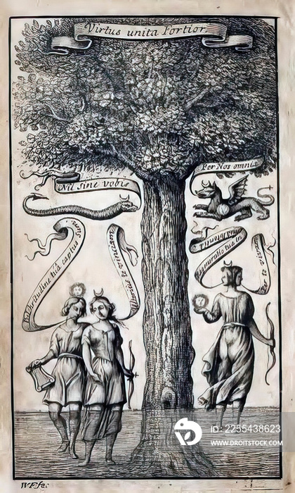 Illustration of a tree of life from a 19th-century alchemy book