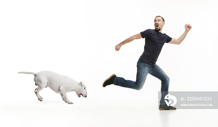 Emotional Portrait of scared man and his dog, concept of friendship and care of man and animal. Bull Terrier type Dog on white studio background