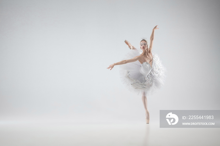 Winter alive. Young graceful classic ballerina dancing on white studio background. Woman in tender clothes like a white swan. The grace, artist, movement, action and motion concept. Looks weightless.