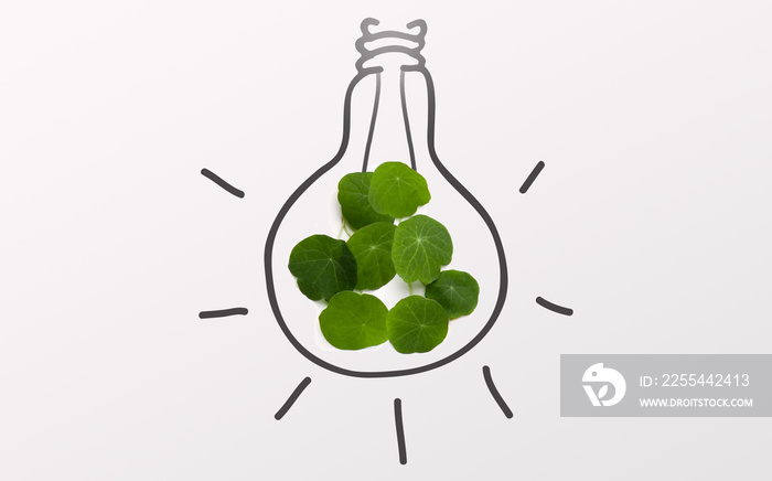 Fresh green leaves inside of drawing light bulb