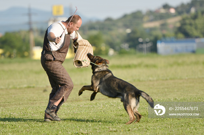 police dog