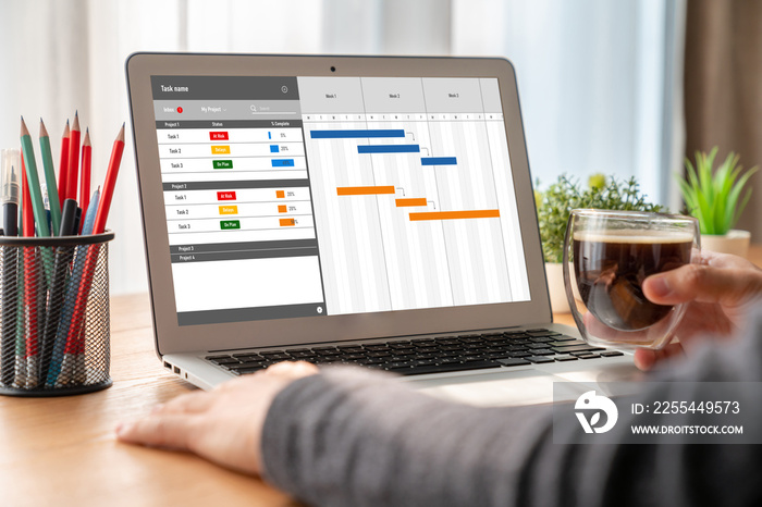 Project planning software for modish business project management on the computer screen showing timeline chart of the team project