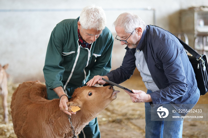 Breeder meeting with financial advisor in barn