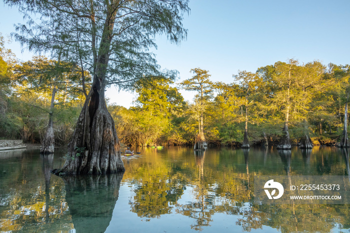 kayakers at Rock Bluff Spring on the Suwanneee River, Gilchrist County, Florida