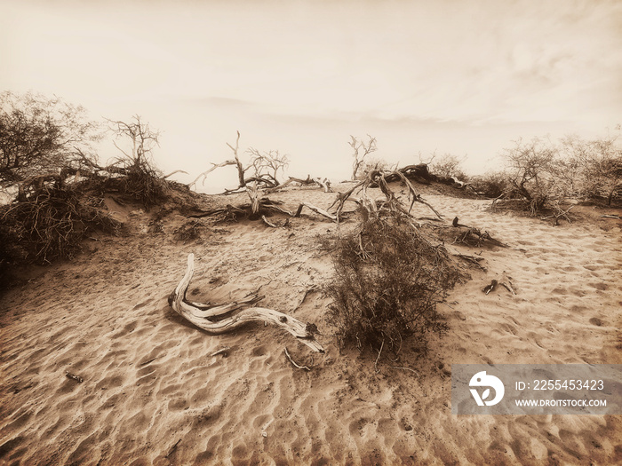 Death Valley National Park, California, USA, sepia version