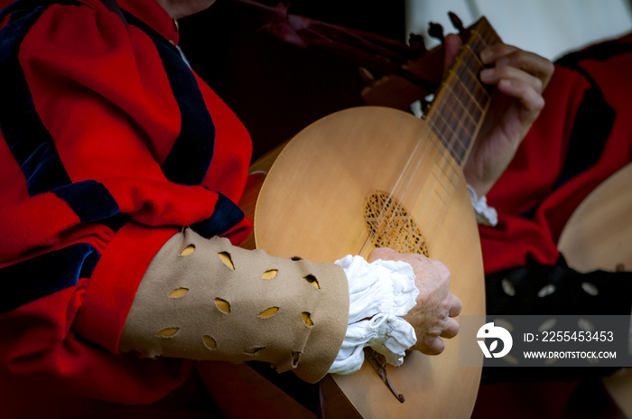 Closeup of the hands of a medieval court musician playing the lute