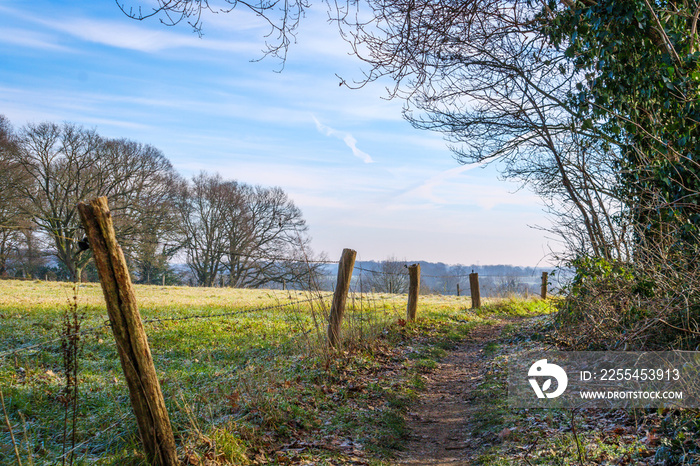 Hiking trail in the hills of Markelo, Twente, Netherlands. MTB route in winter.