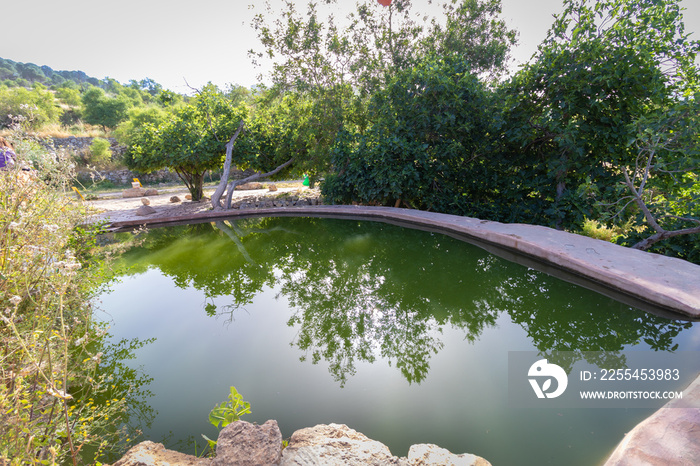 A pool of water that fills from a spring called  ein lavan  in the mountains of Jerusalem, empty because of the Corona virus