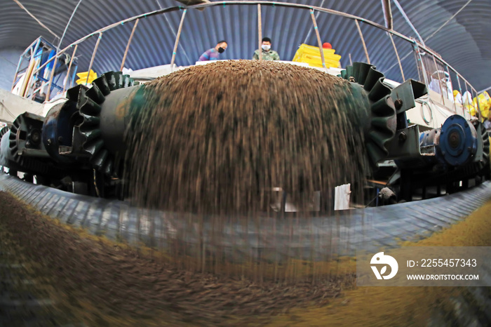 workers busy on a compound fertilizer production line