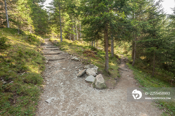 A single mountain path splits in two different directions.