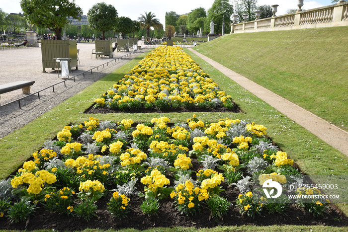 Massifs fleuris au jardin du Luxembourg au printemps à Paris. France