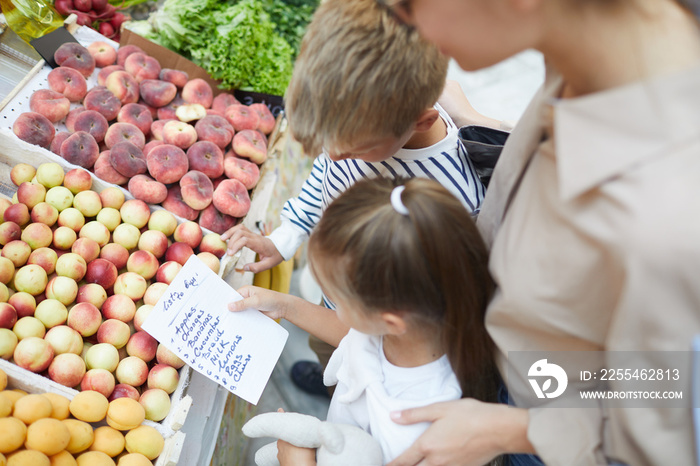 High angle view at two kids reading shopping list while buying groceries at farmers market with mom, copy space