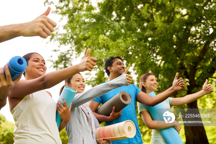 fitness, sport and healthy lifestyle concept - group of happy people with yoga mats at park