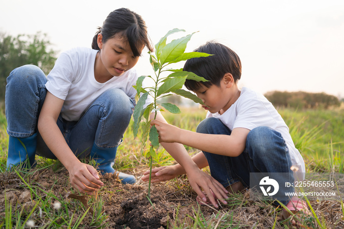 children helping planting tree in garden for save world. eco environment concept