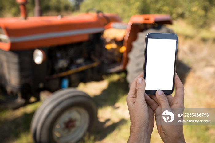 Woman using mobile phone in olive farm