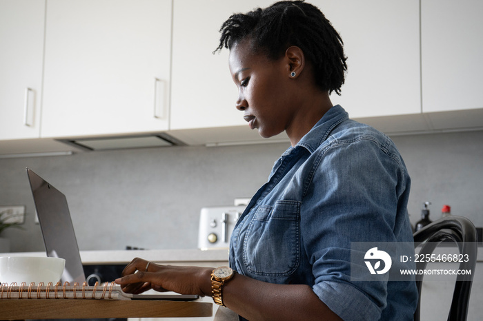 Pregnant woman using laptop in kitchen