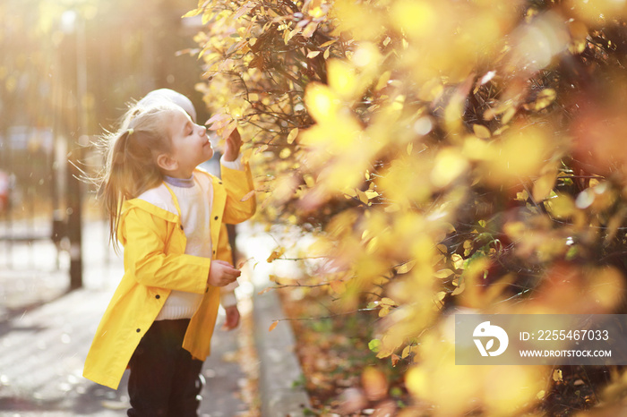 Children walk in the autumn park