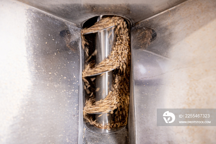 The technological process of grinding malt seeds at the mill