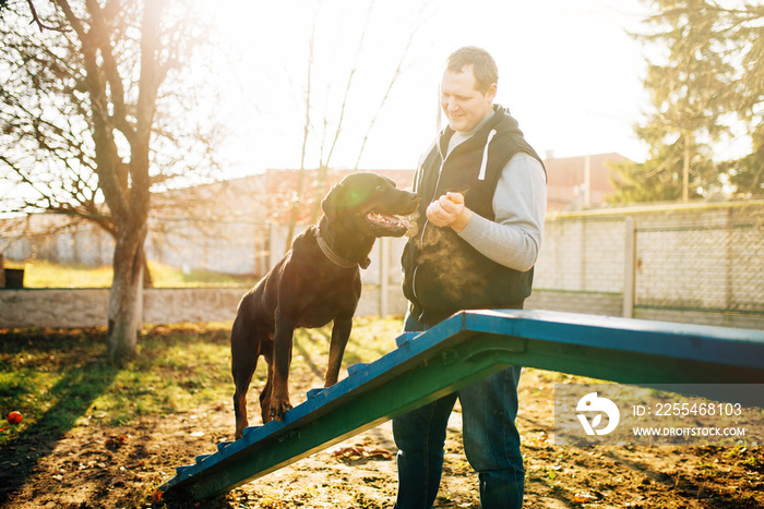 Cynologist trains a dog to keep balance