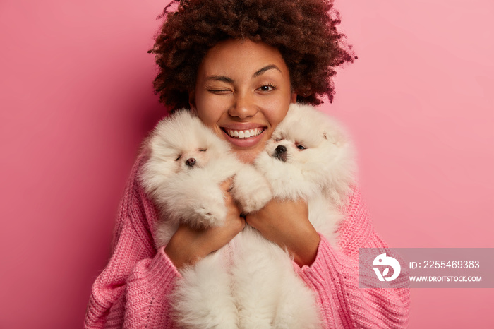 Headshot of funny curly haired woman smiles toothily, winks eye, carries two pedigree puppies closely to face, being pet lover, bought animals in pet store, dressed in knitted jumper, isolated on pink