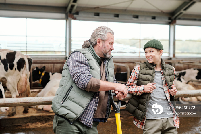 Positive mature father and his son leaning on railing of stall and discussing livestock while having break at farm