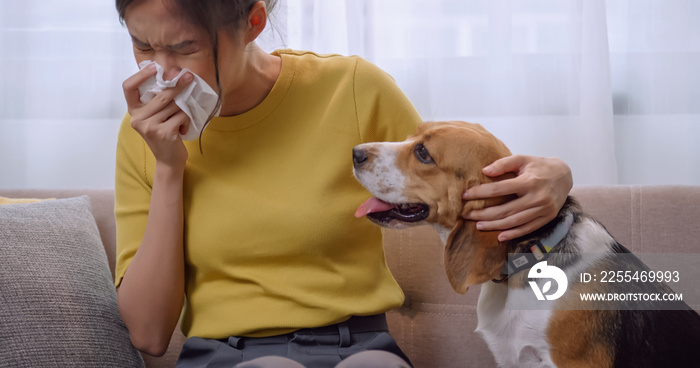 A young woman has an allergic reaction to her dog’s fur.