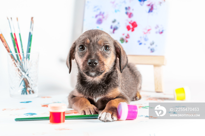 mongrel puppy with brushes, paints and easel with a picture