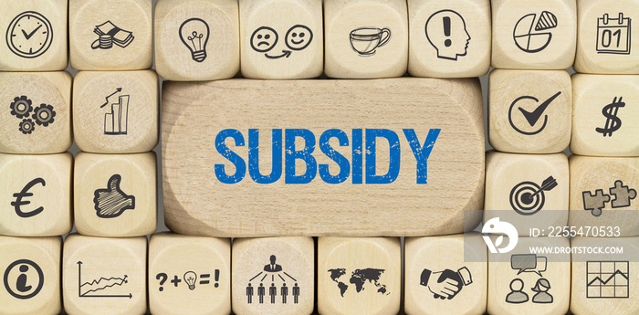 subsidy