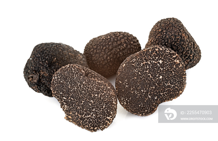 Tuber melanosporum in studio