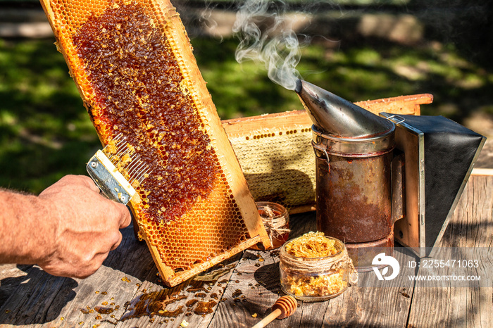 Beekeeping concept, beekeeping tools. frame with bees wax structure full of fresh bee honey in honeycombs