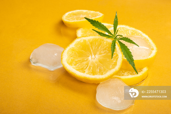 lemon wedges with ice cubes and marijuana bud on a yellow background, lemon hemp, citrus-scented cannabis