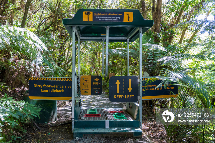 Shoes cleaning station at forest entrance in New Zealand.