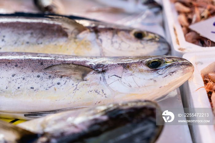 fresh fish on ice at the market stall