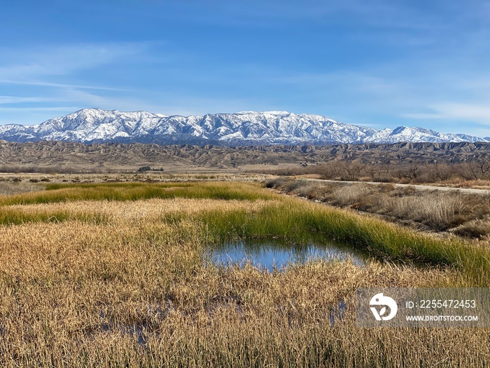 Snow in the mountains and dried grass in the foreground near San Jacinto Wildlife area in Perris, California