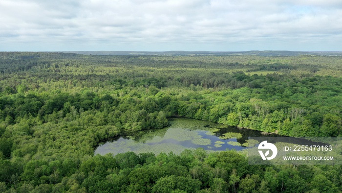 survol de la forêt de Rambouillet près de Versailles