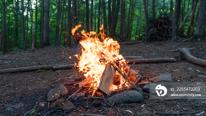 Bushcraft Campfire in the Blue Ridge Mountains near Asheville, North Carolina.  Survival skills / guide