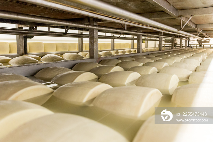 Salting parmesan cheese in factory in Italy