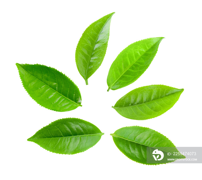 Tea leaves isolated on transparent png